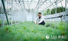 行进中国丨写正在青山绿水间的“生态答卷”